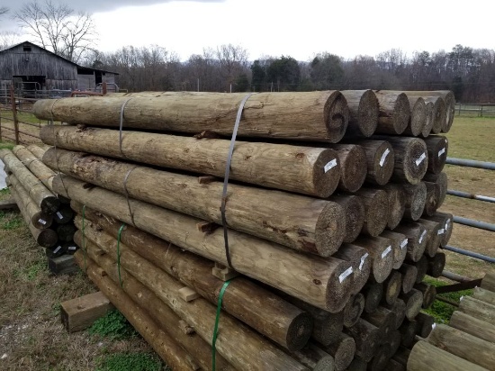 NEW 6X8 TREATED WOOD POSTS (28)