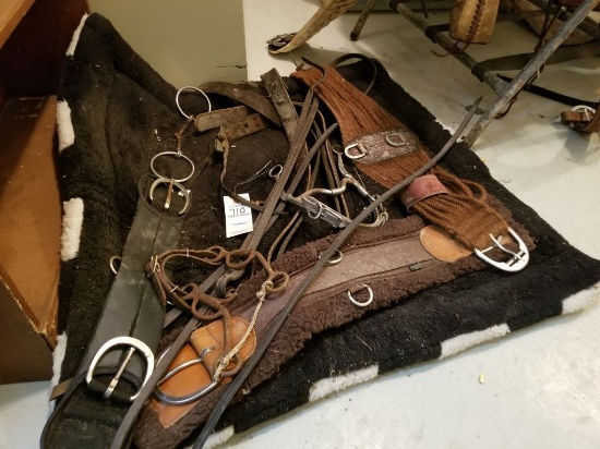 LOT OF MISC TACK, GIRTS, BITS, BLACK SADDLE PAD