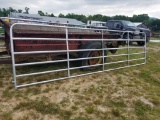 USED PAINTED GALV 16' GATE