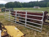 USED PAINTED GALV 16' GATE