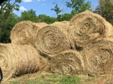 5X5 ROUND BALE OF HAY: TIMOTHY AND ORCHARD GRASS, NEVER BEEN WET, LOCATED IN GRUNDY COUNTY, TN.