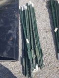 NEW GREEN T-POSTS 6' X 1.25 LBS/FT (25 FOR ONE MONEY)