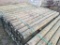 NEW TREATED 5X8 WOOD POSTS (32)