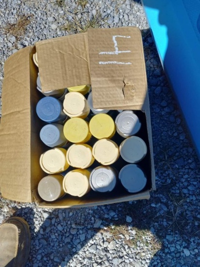 BOX OF SPRAY PAINT