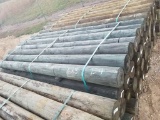 NEW TREATED 6X8 WOOD POSTS (28)