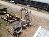 STEP LADDER, ITEM FROM POWELL ESTATE-SELLS ABSOLUTE