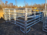 12' HEAVY DUTY CORRAL PANELS WITH PINS (10)