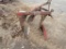 MASSEY FERGUSON # 43 2 BOTTOM PLOW