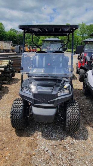 ELECTRIC GOLF CART, LITHIUM BATTERIES, SOMETIMES HOLDS CHARGE-SOMETIMES DOE