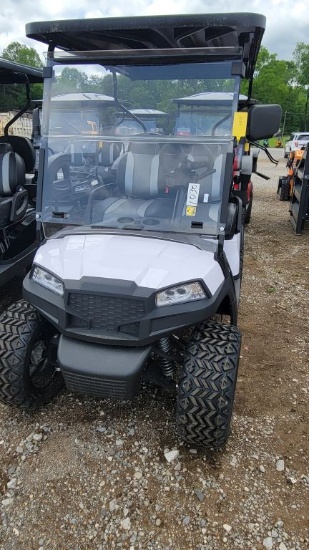 ELECTRIC GOLF CART, LITHIUM BATTERIES, SOMETIMES HOLDS CHARGE-SOMETIMES DOE
