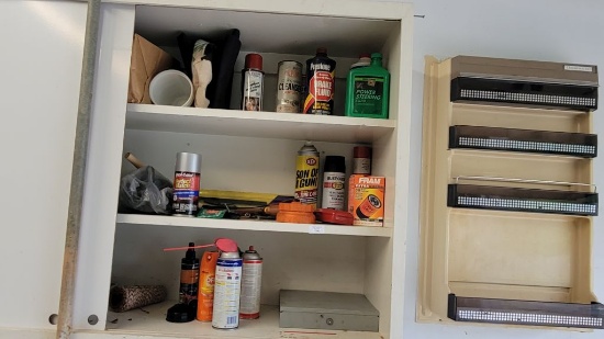 CONTENT IN CABINET ON WALL (CABINET DOES NOT GO)