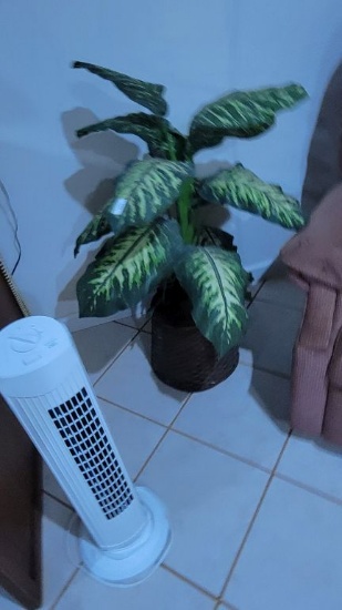 DECORATION PLANT