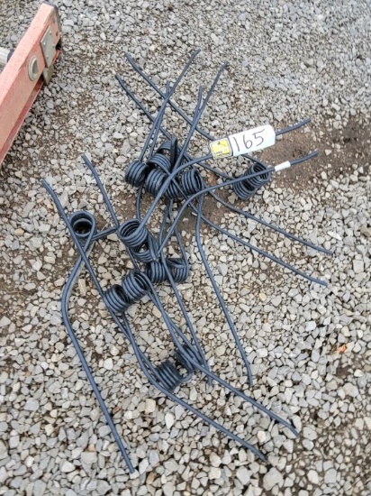 BUNDLE OF TEDDER TEETH