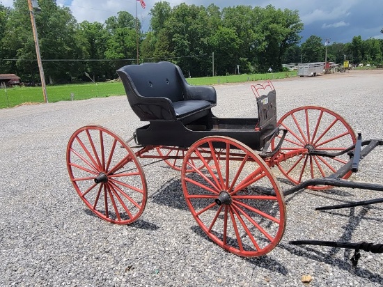 DOCTOR'S BUGGY