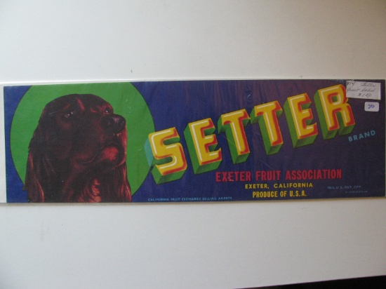 Vintage Ad: Setter Exeter Fruit Association
