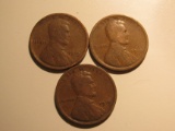 US Coins: 3x1919 Wheat pennies