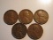 US Coins: 5x1928 Wheat Pennies