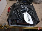 6/2 amp battery charger