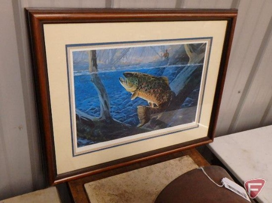 Framed and matted prints, fish print by Doughty 328/850, 21inhx26inW, and