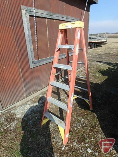 6' Werner Step Ladder