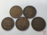 (5) Indian Head pennies, (3) are 1894, (2) are 1909, avg. circulated condition