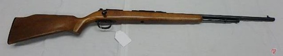 Remington 582 .22S/L/LR bolt action rifle