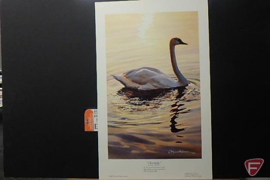 (2) 30inHx12inW prints by Rod Crossman, Fall Visitors-Cedar Waxwings 257/580,
