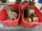 Plush bears and rabbits, Harrods, and assortment of wood items, boxes, music box, vases,