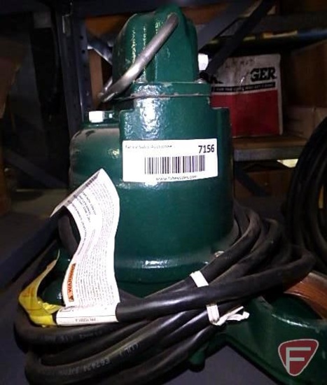 Zoeller TE53-C sump pump