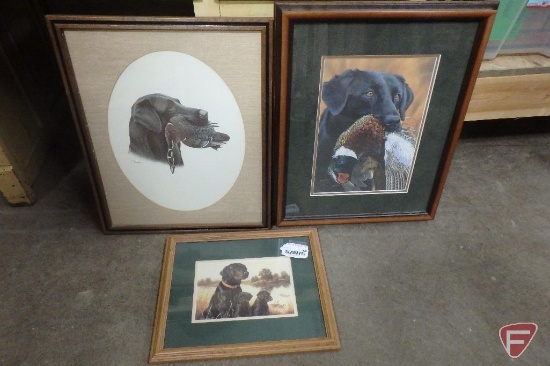 Framed and matted prints, hunting dogs, 23inx18in, and 13inx16in, All 3