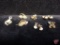 Landstrom's 10k/12k Black Hills Gold rose tri-color pair of earrings