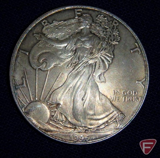 1996 Key Date Silver Eagle heavy dark toning