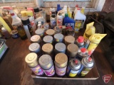 Spray paint, paint, and automotive chemicals
