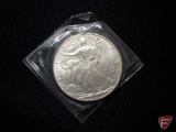2001 Silver Eagle Dollar BU