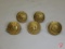 Minnesota Civil War era buttons (5)