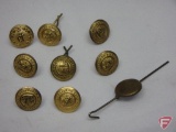 Minnesota Civil War era buttons (8)