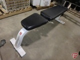 Life Fitness Strength weight bench