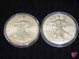 2018 and 1999 Silver Eagle, brilliant uncirculated