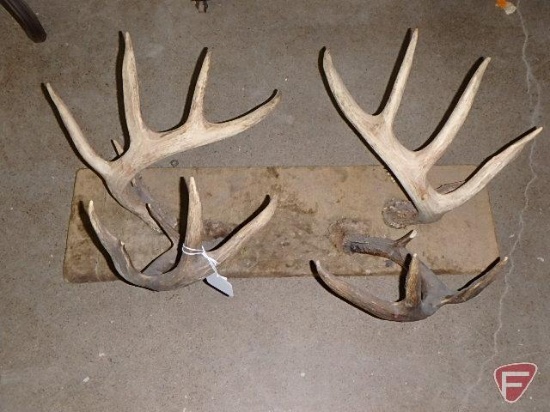 (2) antler sets mounted on wood