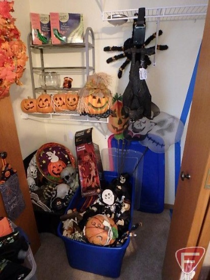 Halloween Decorations in partial closet