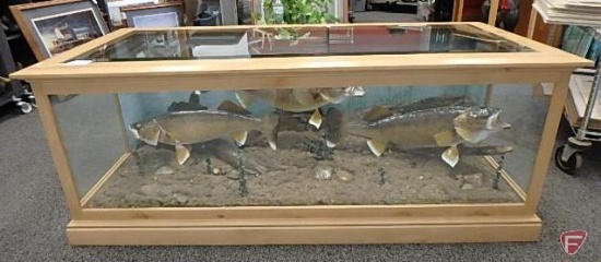 Wood and glass table with taxidermy fish, 28.5" W x 65" L x 24.75" H