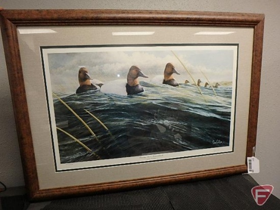 "Passing Storm - Canvasbacks" by Ron Van Gilder framed and matted print, 2227/5000