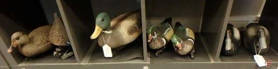 Duck decoys & (1) diving duck decoy. Carry-Lite Sport-Plast, Flambeau, Victor Majestic Decoys