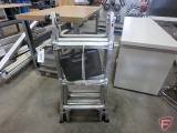 Extendable 2 sided step ladder
