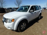 2009 Ford Escape Multipurpose Vehicle (MPV)