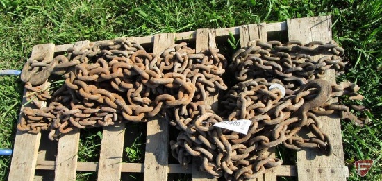 2 Large Chains with Hook and D Ring