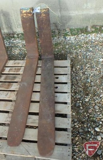 5" x 42" Pallet forks