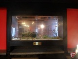 Glass fish aquarium, 59-1/2