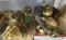 Brass sconces, angel candlestick, hanging brass kerosene lamp, urn, tray, candle holder, cup