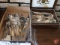 (2) silver plate silverware sets, may be incomplete and souvenir spoons